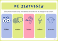 S_Pelen met zintuigen (gronding)